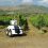 El Robot Agricultor Revoluciona el Mercado Intergaláctico